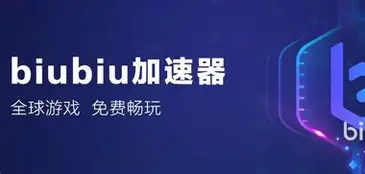 biubiu加速器